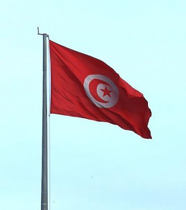 Tunus Nakliye